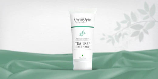 How The Best Tea Tree Face Wash for Oily Skin Can Heal All Your Skin Concerns?