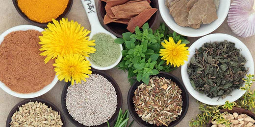 Top 10 Herbs to Boost Immunity - Use Wide Range of Herbal Products by The Minies