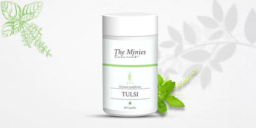 Top 7 Amazing Benefits of Tulsi Capsules by The Minies That You Might Not Know