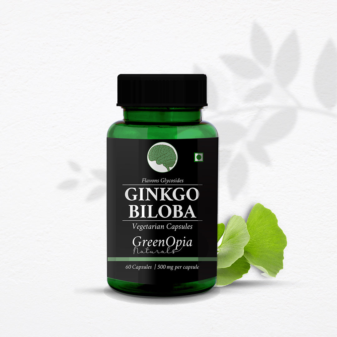 Ginkgo Biloba Extract 120mg for Healthy Brain Function – 60 Vegetarian Capsules