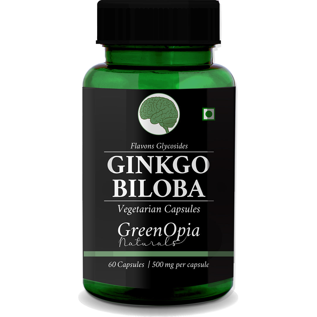 Ginkgo Biloba Extract 120mg for Healthy Brain Function – 60 Vegetarian Capsules