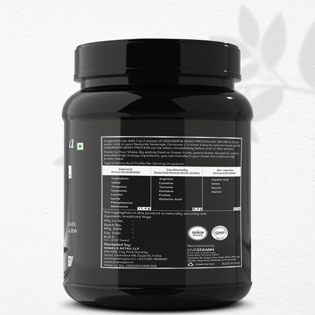 Whey Protein Powder Supplement | Chocolate Flavor